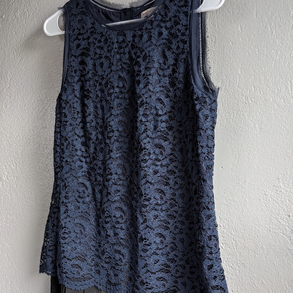 Rebecca Taylor Sleeveless Lace Miz Pleat Dress - Picture 6 of 16